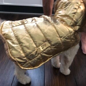Gold Dog Puffer Jacket with Faux Fur Trim